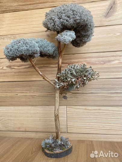 Дерево в ванную