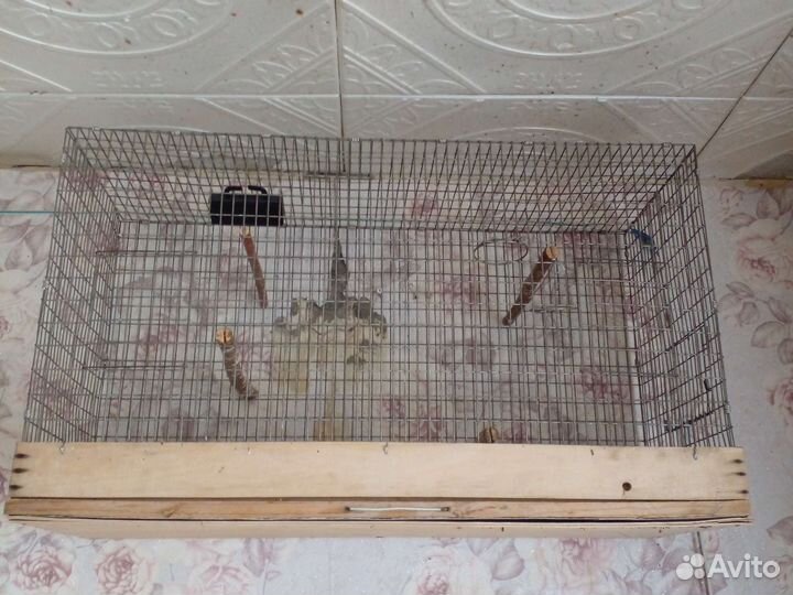 Клетки для птиц