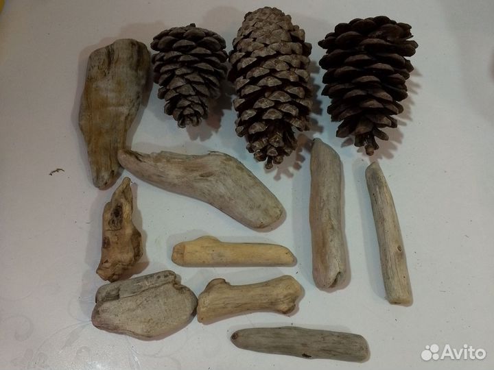 Коряги дрифтвуд