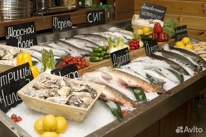 Франшиза рыбного магазина: прибыльный бизнес