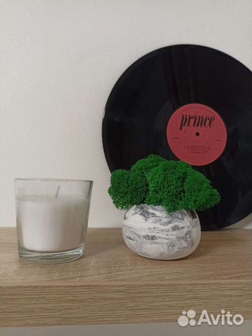 Мох стабилизированный в гипсовом кашпо