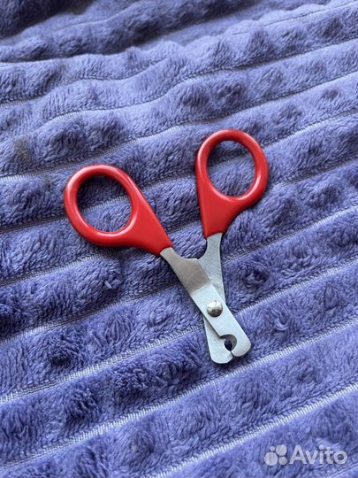 Ножницы + антикоготки+расчестка