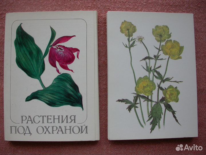 Открытки Флора и Фауна