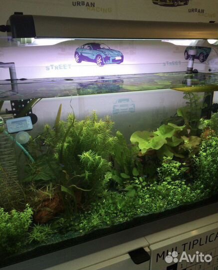 Аквариум ferplast