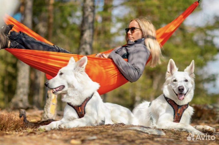 Шлейка rock harness non-stop