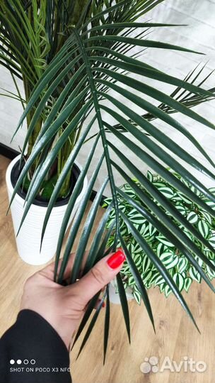 Искусственное дерево пальма, монстера, стрелиция