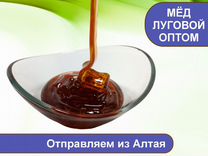 Алтайский мёд 2023 г (оптом)