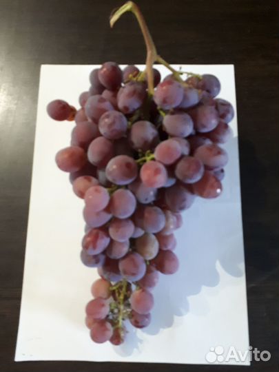 Продам виноград