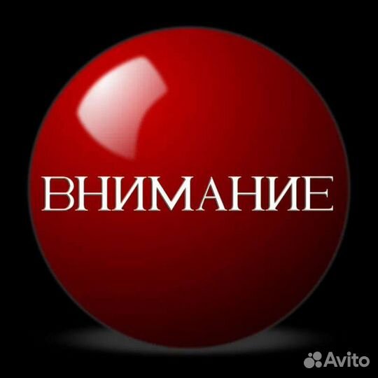 Инкубационное яйцо