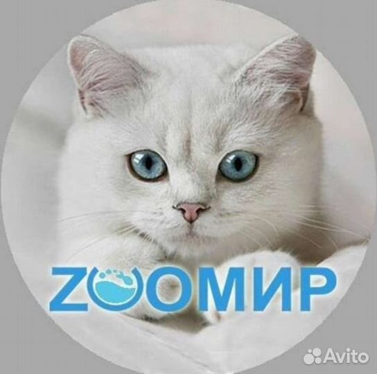 Продавец консультант