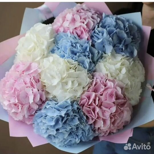 Цветы. Букеты и композиции из гортензий