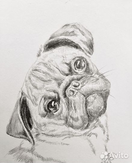 Рисую ваших питомцев