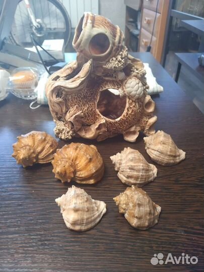 Весь набор 600