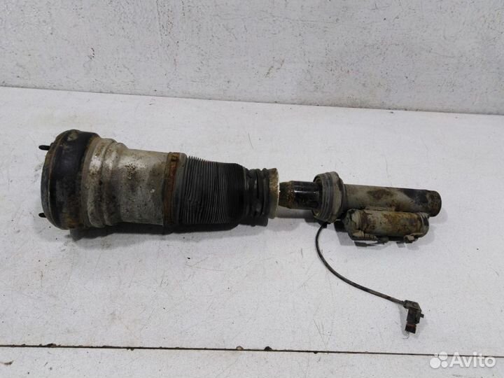 Пневмоамортизатор передний A2203202438