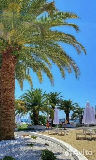 Доверительное управление недвижимостью