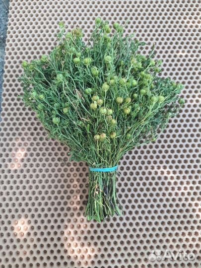 Гармала.Могильник