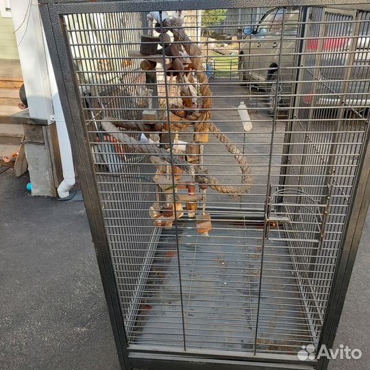 Клетка для крупного попугая