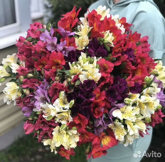 Огромный букет альстремерии 51 шт