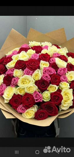 Роза Цветы с доставкой 25/51/101/501 опт