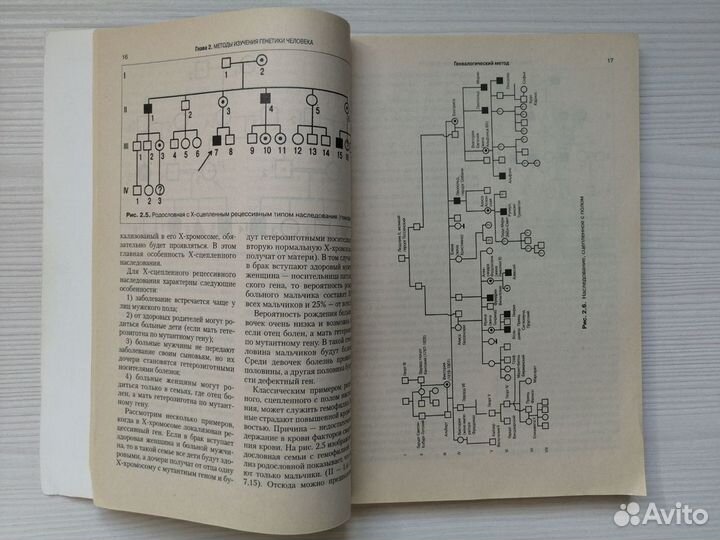 Генетика человека (2000г.) / В. Шевченко