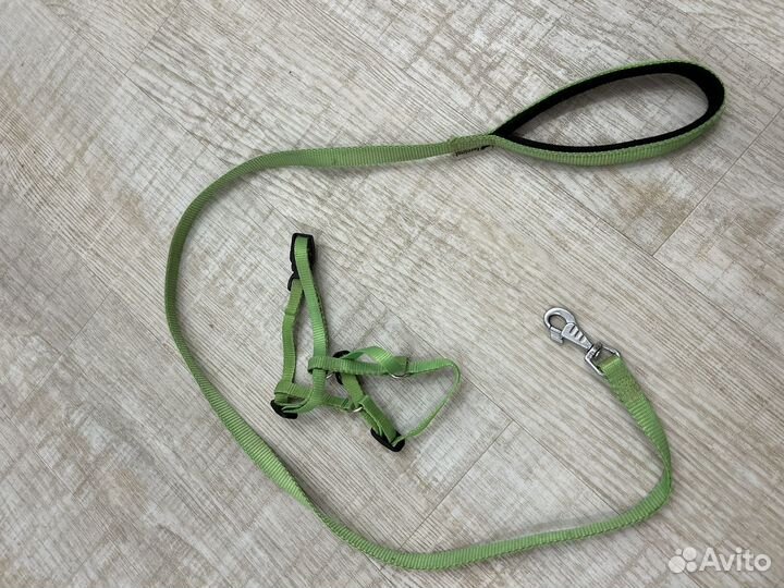 Шлейка и поводок короткий