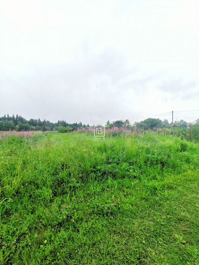 Участок 40 сот. (личное подсобное хозяйство (лпх))