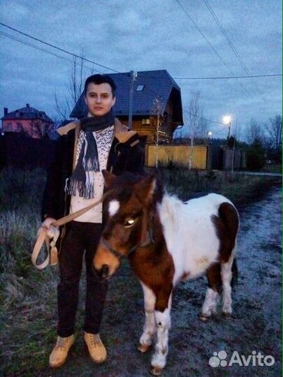 Ветеринарный врач