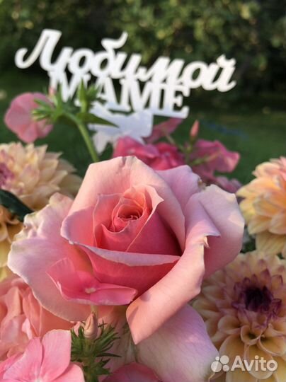 Композиции из живых цветов