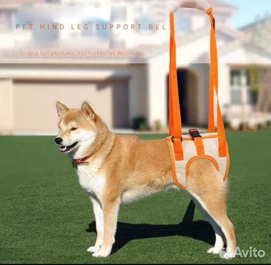 Поддерживающий ремень для животных, размер s
