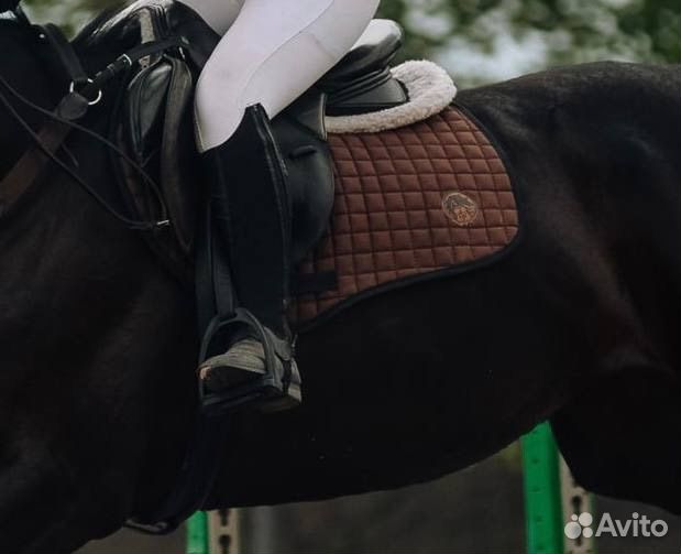 Конная амуниция бу