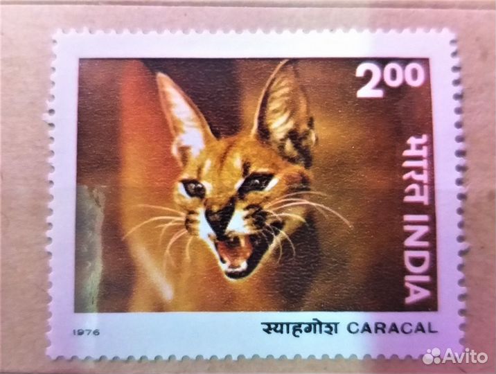 Почтовые марки