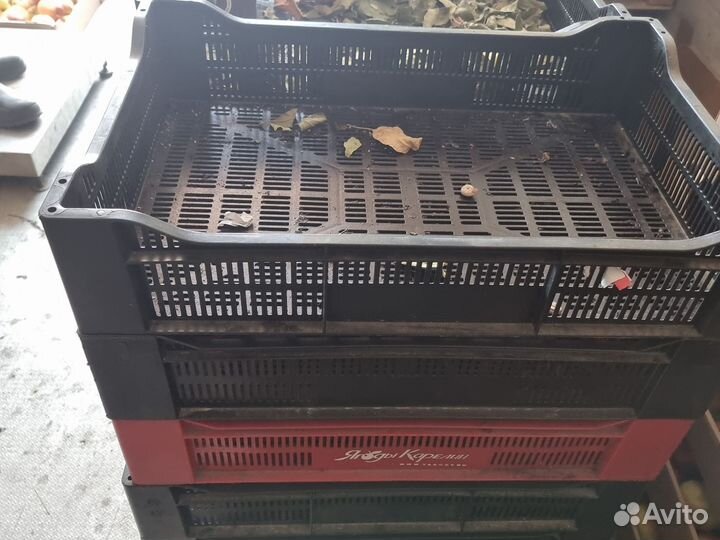 Ящики ягодны 70 штук