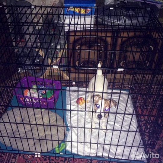 Клетка для большой собаки