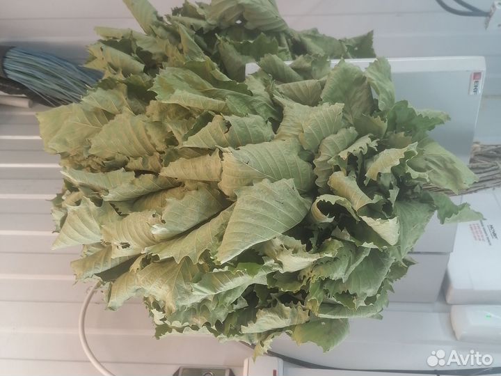 Веники дубовые банные