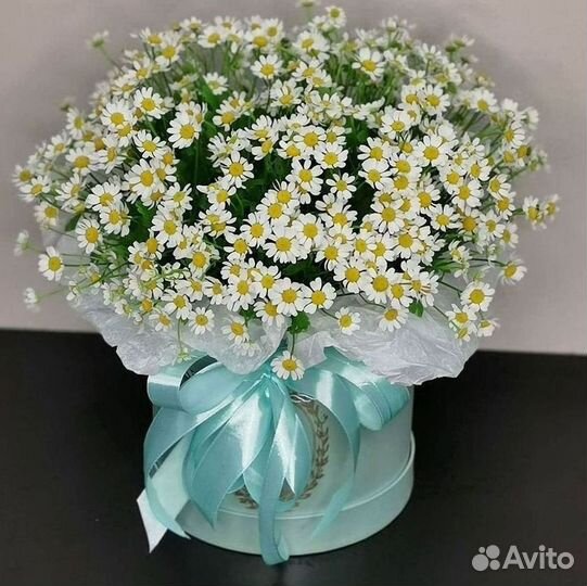 Ромашки Пионы Розы Доставка