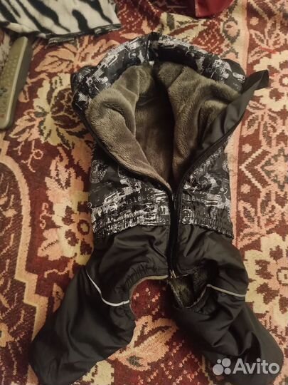 Одежда для маленьких собак