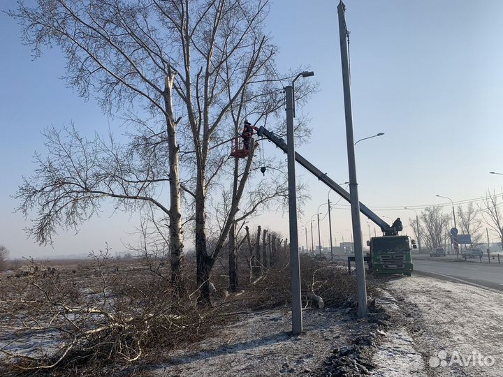 Спил,кронирование деревьев любой сложности