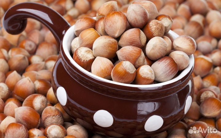 Саженцы Фундука