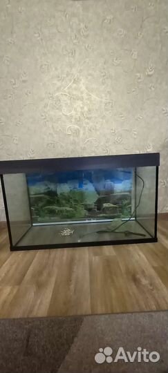 Аквариум220л