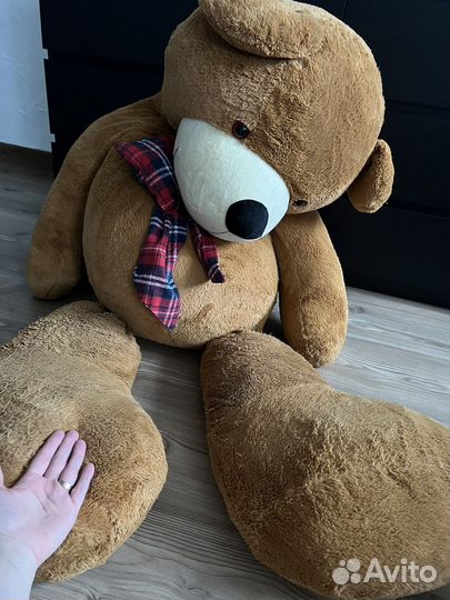 Плюшевый медведь
