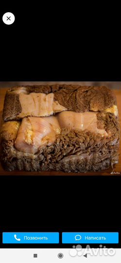 Корм для собак