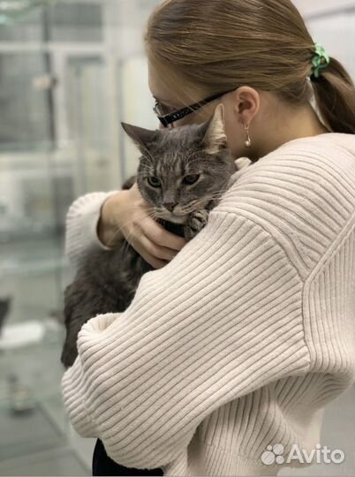 Передержка кроликов, грызунов, птиц