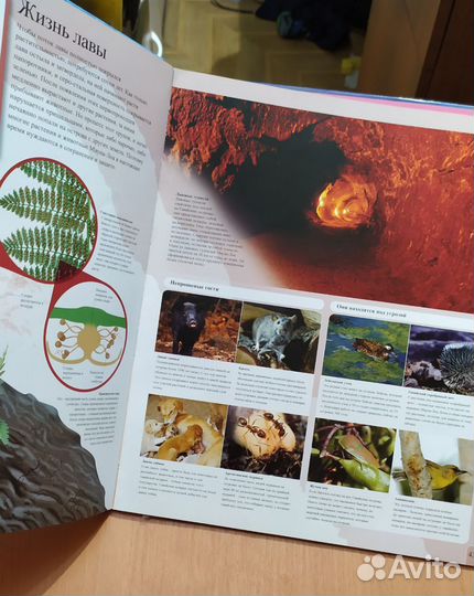 Детские книги и энциклопедии 5 штук