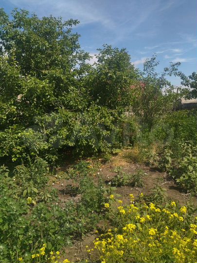 Дом 65 м² на участке 4 сот.