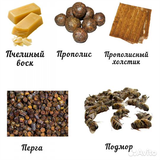Прополис, пыльца, перга, подмор, восковая моль