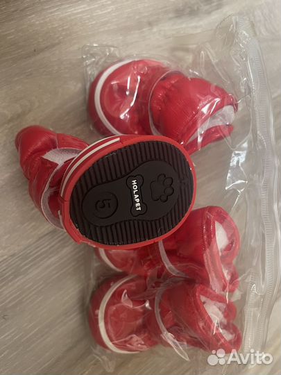 Обувь для собак мелких пород