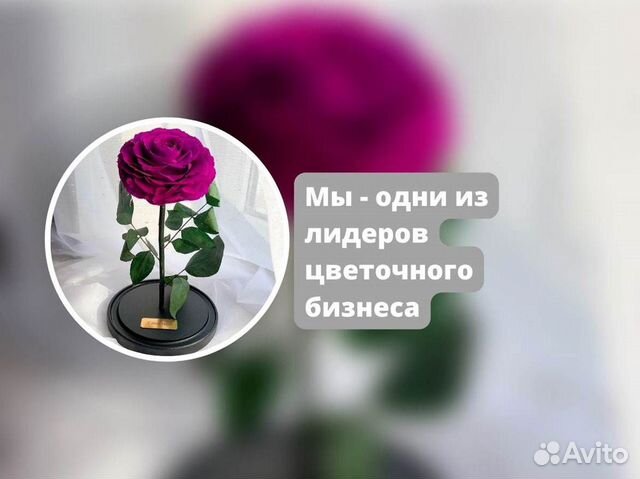 Роза в колбе