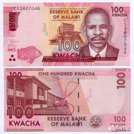 Банкнота Малави 100 квача 2020 год CS3607046. UNC