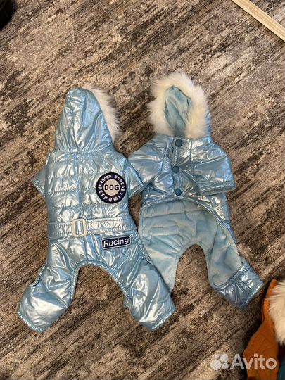 Костюмы для животных