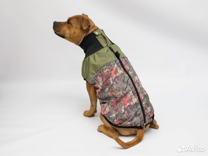 Жилетка для собак